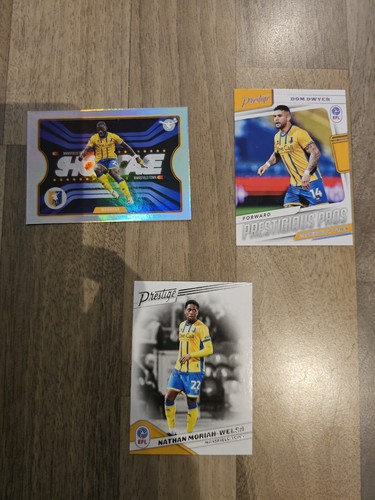 Panini efl prestige - efl,