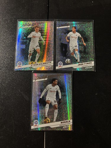 Panini efl prestige 26 - efl, 25/26