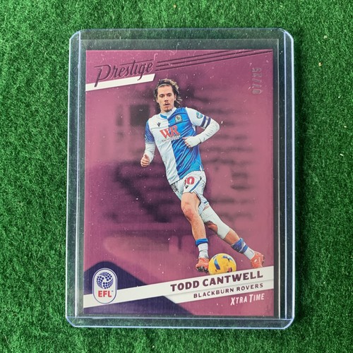 Panini efl prestige todd - panini,