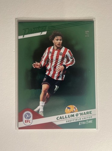 Panini efl prestige sheffield - prestige,