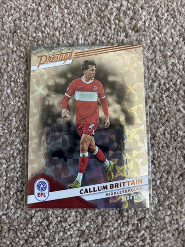 Panini efl prestige - efl,