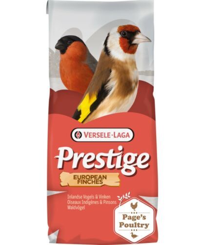 Versele laga european - european, finches